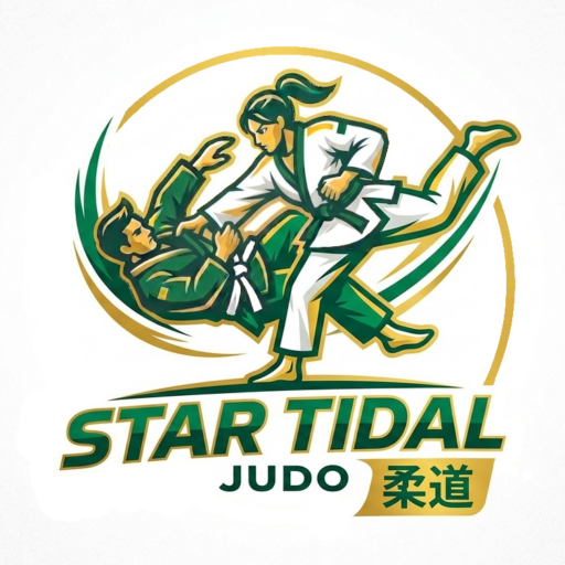 Logo Startidal full color