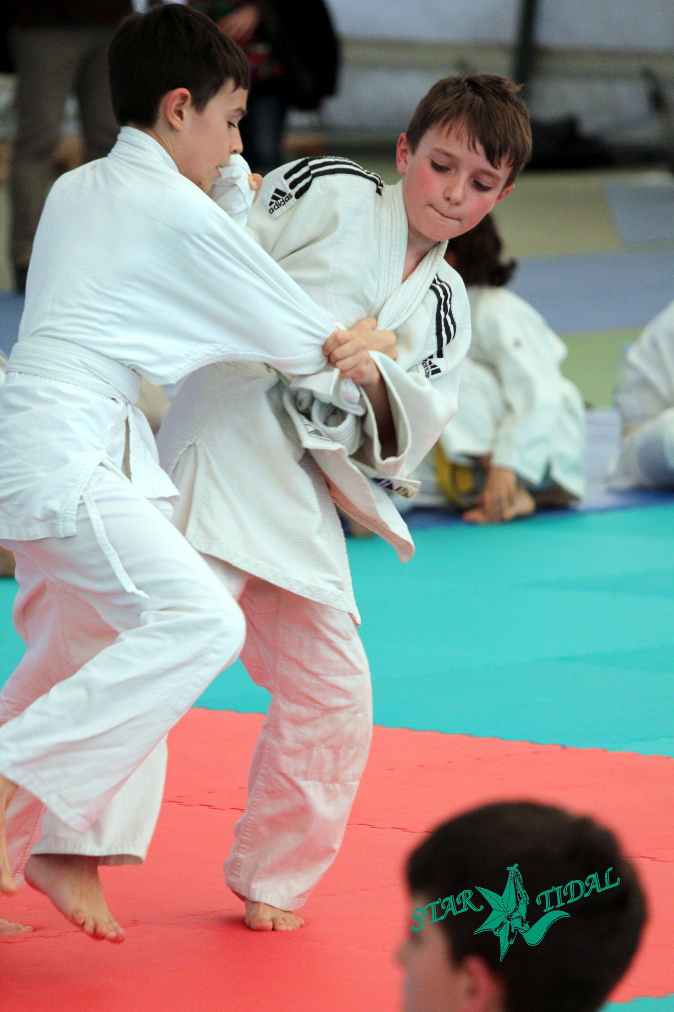 Tai Otoshi made in Longara, Casaleccho di Reno