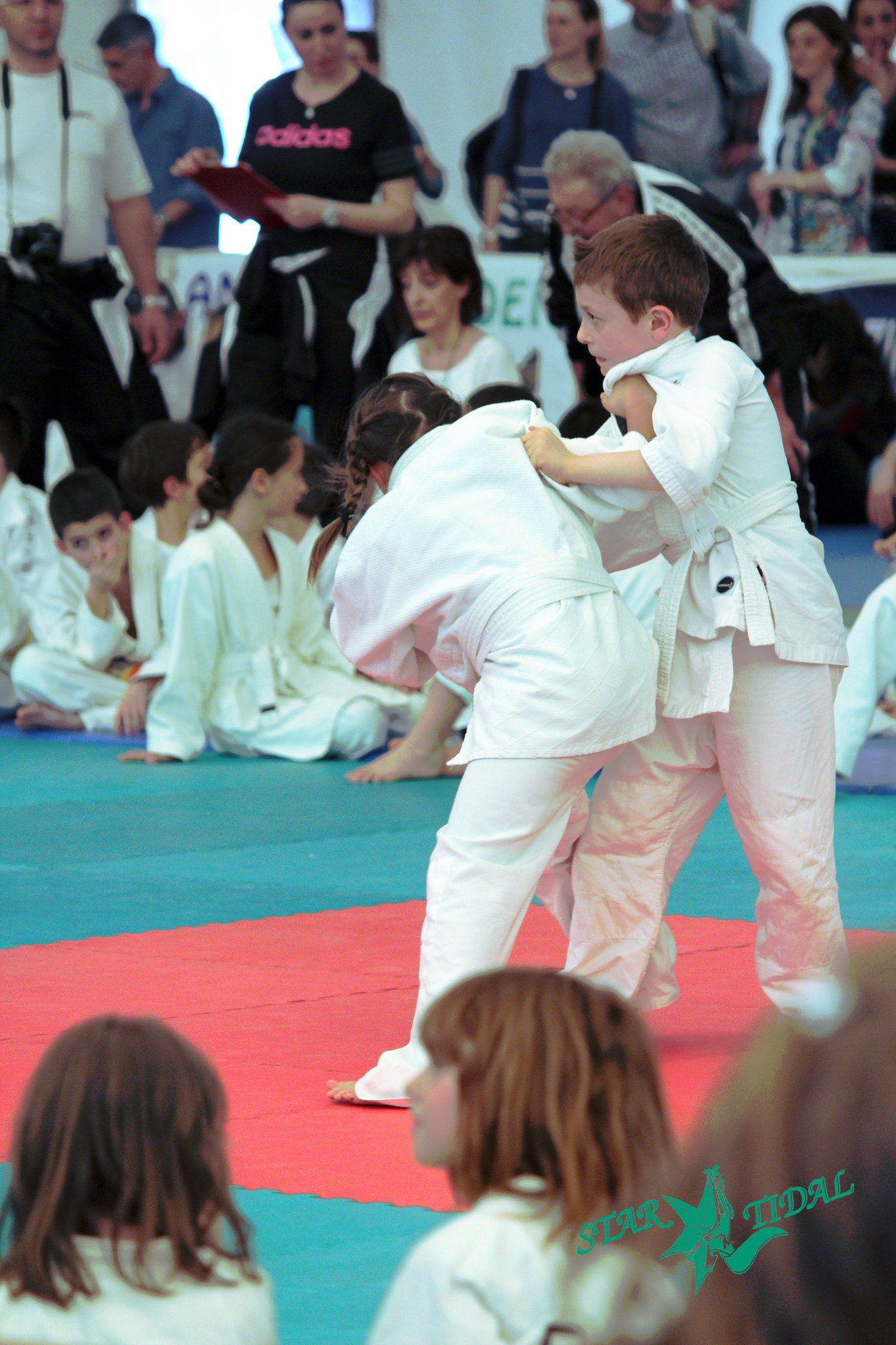 Tai Otoshi made in Longara, Casaleccho di Reno